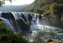 The Divided Population of Macedonia