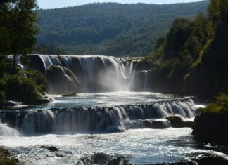 The Lion and Bull Monument