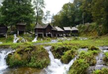 A Misguided Search for the Hebdomon