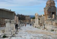 Sirventets Poetry as a Political Tool